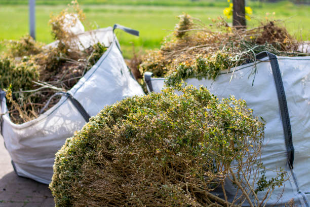 Trusted Nogales, AZ Junk Removal Experts